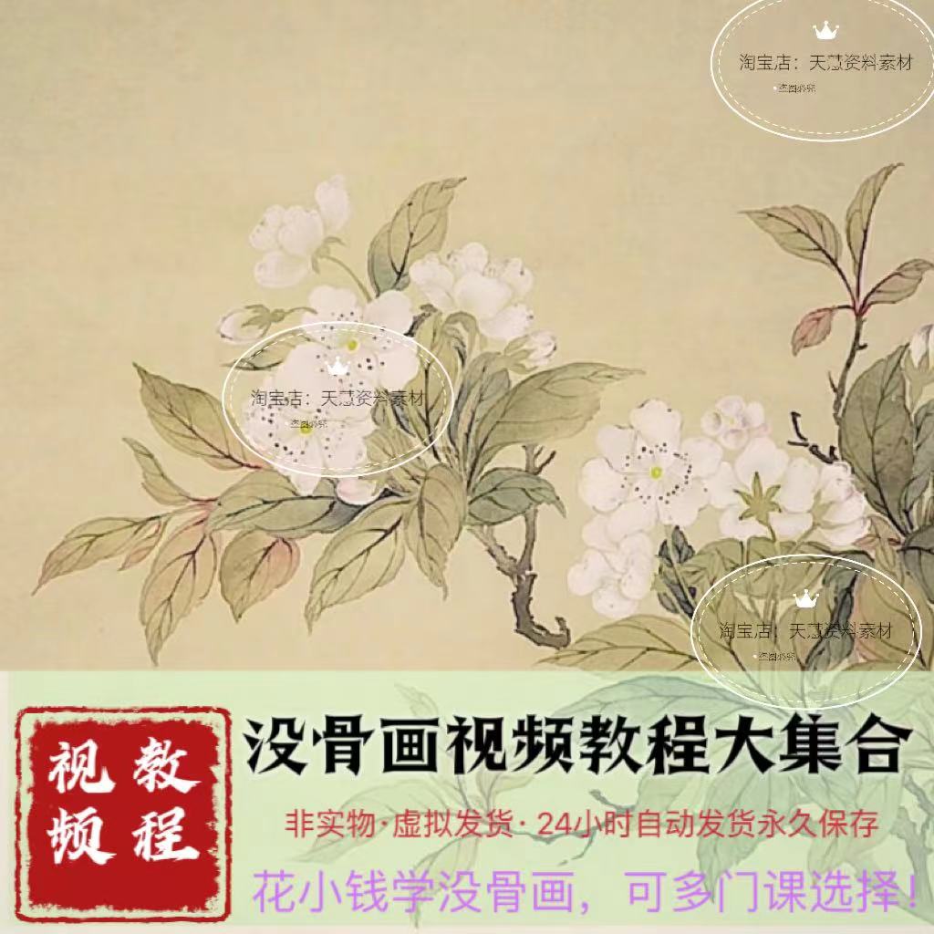 没骨视频零基础入门到提升精通没骨花鸟技法大集合电子素材源文件