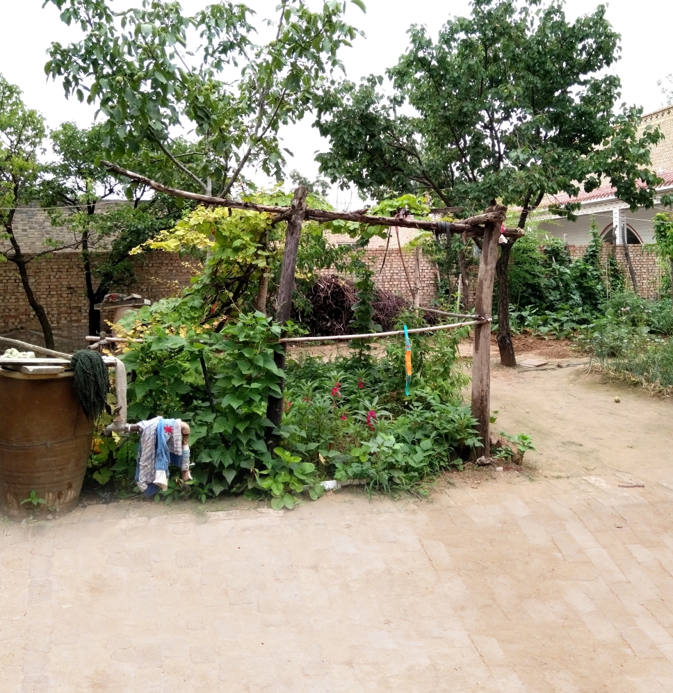 主播背景布 快手_新款抖音快手主播拍段子视频背景布农村土砖老旧房子