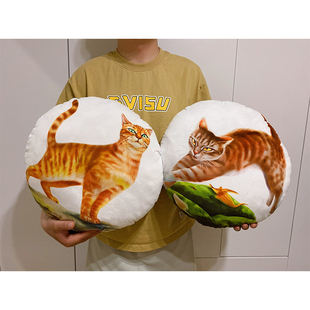 猫武士周边玩偶火星抱枕沙风猫咪橘猫玩具照片图片来图定制礼物