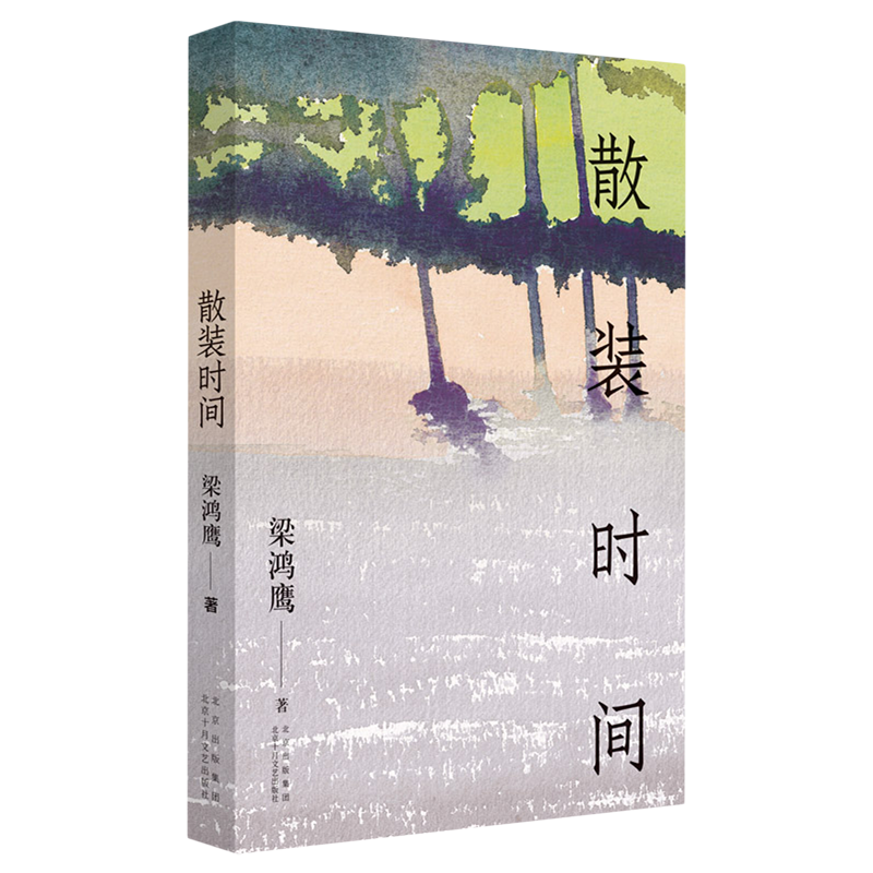 散装时间 梁鸿鹰 著 中国版《九故事》 北方小城的《米格尔街》短篇小说合集