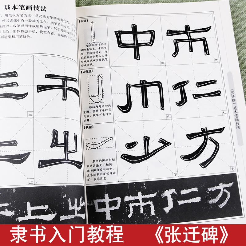 张迁碑隶书入门教程专业教学毛笔隶书书法练字帖初学者临摹自学练字帖实用基础教材学生成人初学者临摹练习中国书法培训教程教材