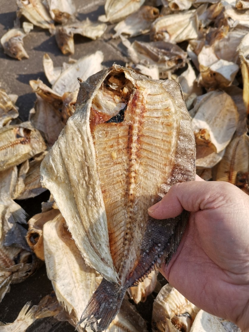 包邮比目鱼干汕尾特产鱼干大地鱼干 券后44元包邮