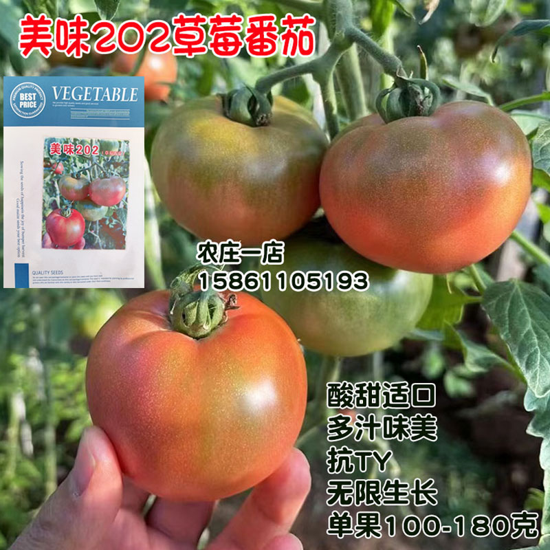 美味202草莓番茄种子沙瓤酸甜粉果