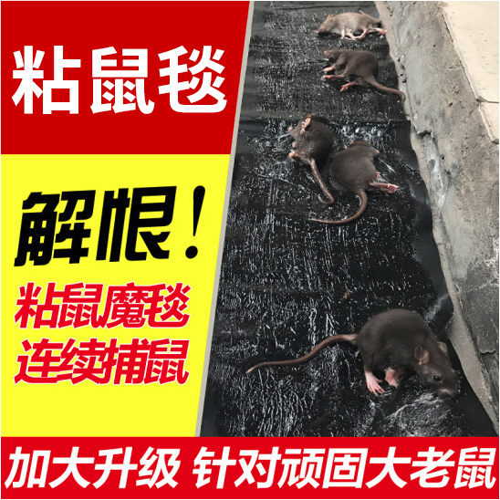 粘鼠毯粘鼠板鼠贴强力家用药长胶抓捉老鼠克星灭鼠捕鼠耗子一窝端