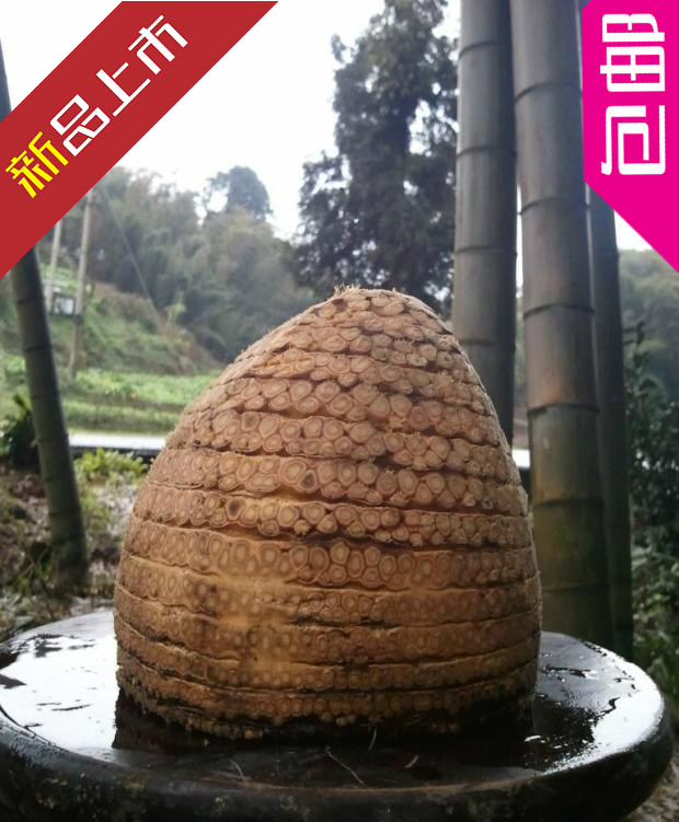 楠竹根料子 竹根雕原料 满钉小竹根 大竹根雕刻材料 diy雕刻