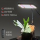 桌面全光谱LED植物补光灯--散射光植物专用补光灯夹子多头大功率