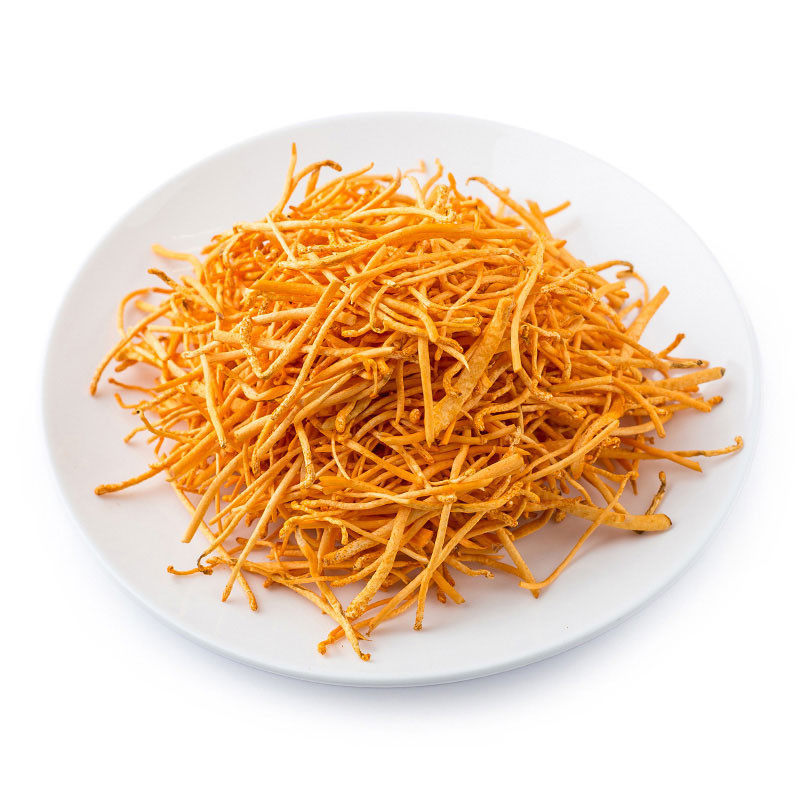 热销鲜的冬虫夏草