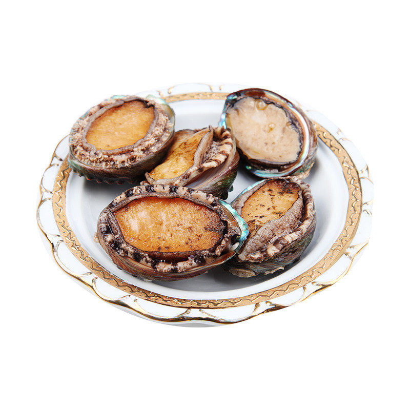 鲍鱼大全——其他用品