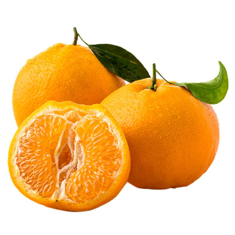 四川春见耙耙柑3斤装 单果90g以上当季新鲜水果