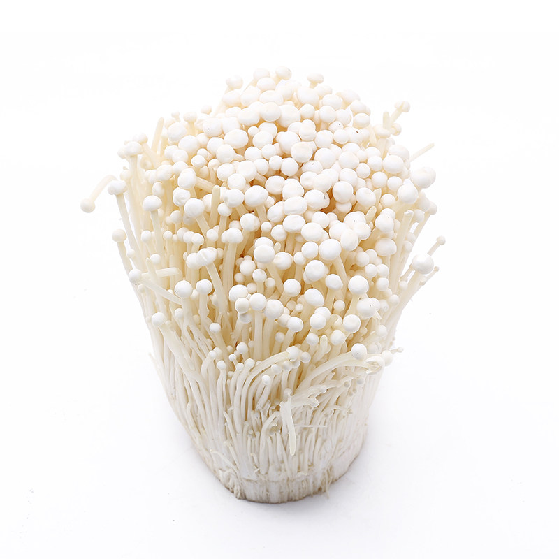 金针菇新鲜