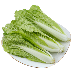【闲置白菜全新图片】闲置白菜全新图片大全_好便宜网
