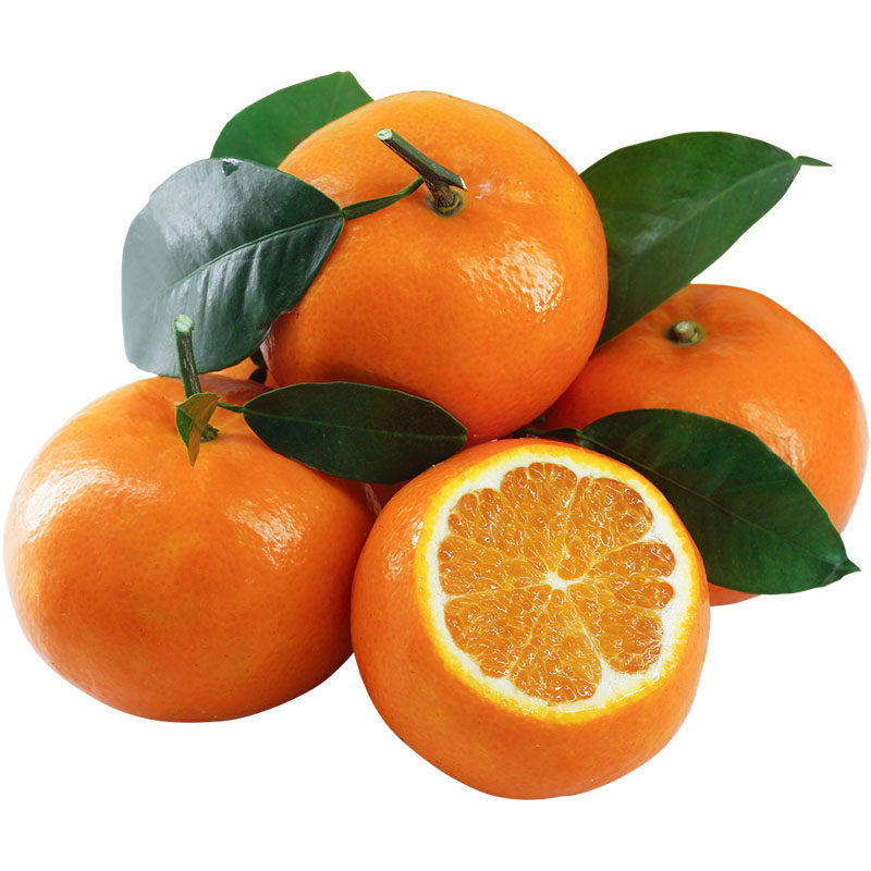 广西沃柑4个/盒600g