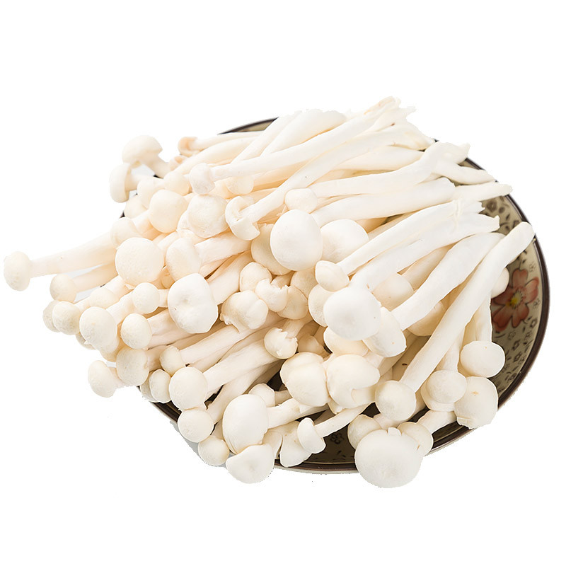 精选白玉菇150克s新鲜菌菇菇香浓郁