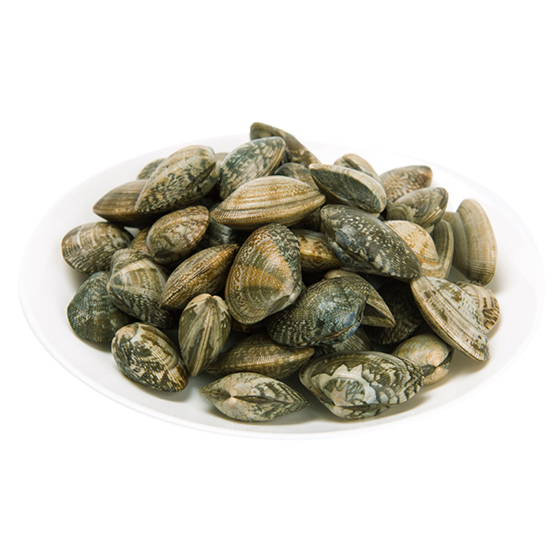 鲜活花蛤花甲海鲜(50/70)500g份