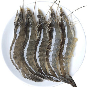 明虾鲜活包邮秒杀图片