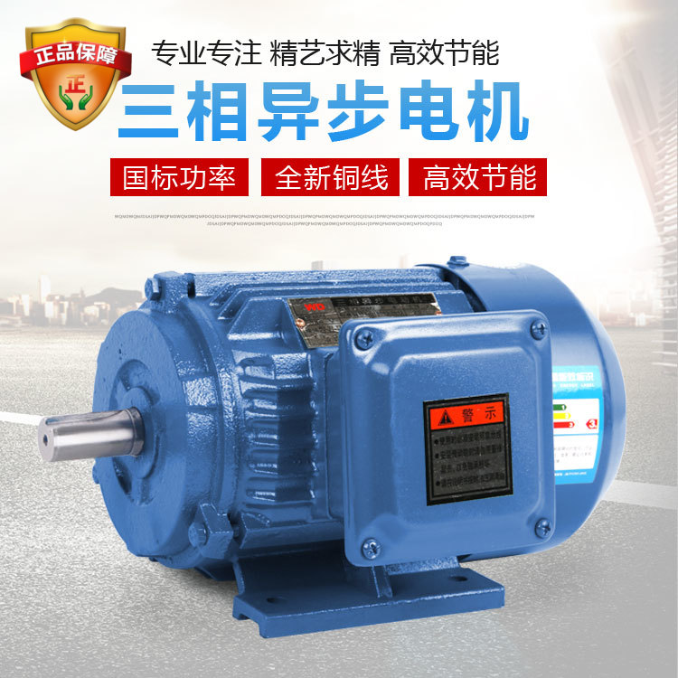 YE2-100L-6 1.5KW电动机220V两相三相马达380v国标卧式立式全铜