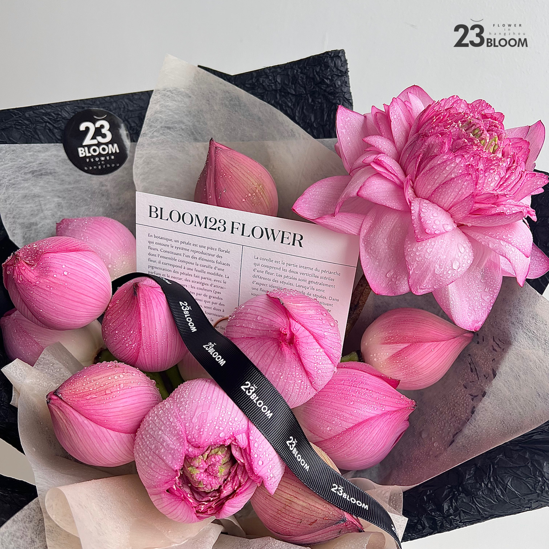 Bloom23七夕鮮花—好運蓮蓮在類目 鮮花速遞/花卉仿真/綠植園藝, 生活鮮花, 周期訂閱鮮花中 - 來自Buy2taobao.com提供專業的淘寶代購服務