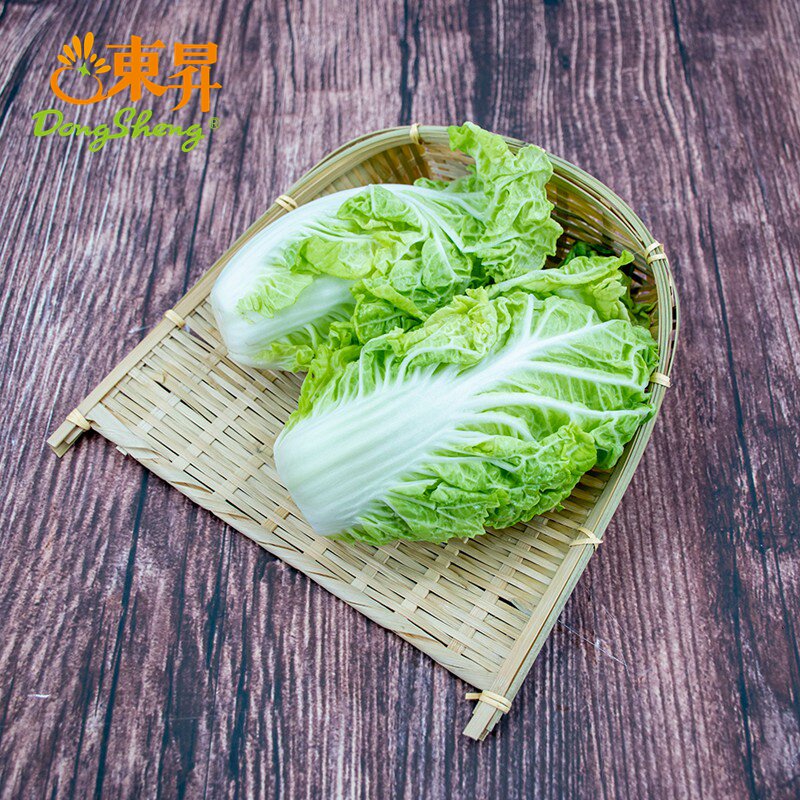 东升农场 东升银丝王菜 青菜 广州新鲜蔬菜配送 300g