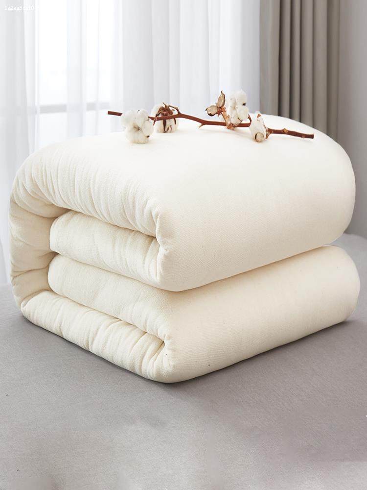 被子单人学生宿舍冬季棉花被优惠券爱比价妈妈