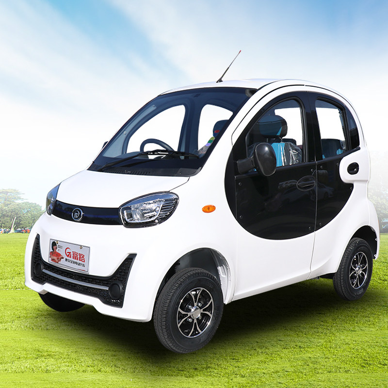 丽驰电动汽车成人家用富路美客电动四轮车迷你代步车接送孩子学生