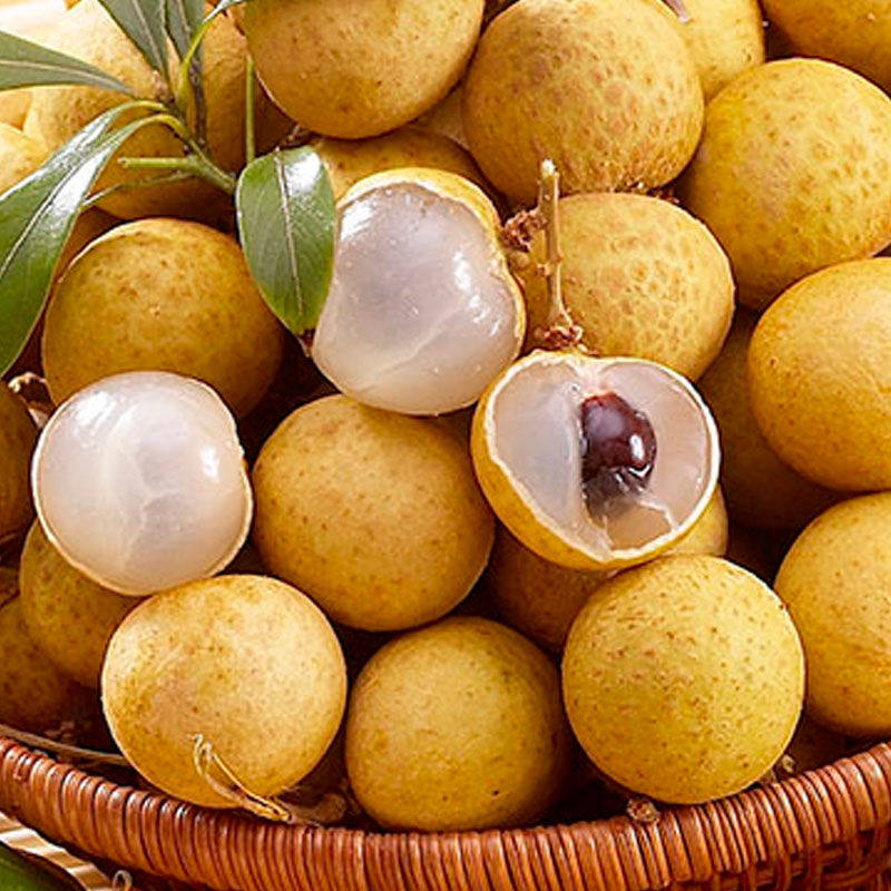 【新鲜龙眼】泰国新鲜龙眼新鲜桂圆新鲜水果孕妇水果热带果