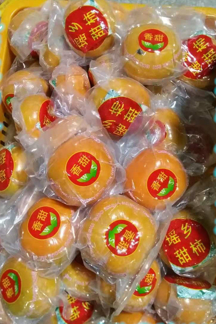 桂林恭城大瑶山现摘脆柿子 新鲜脆甜 9斤大果老树果 独个真空包装