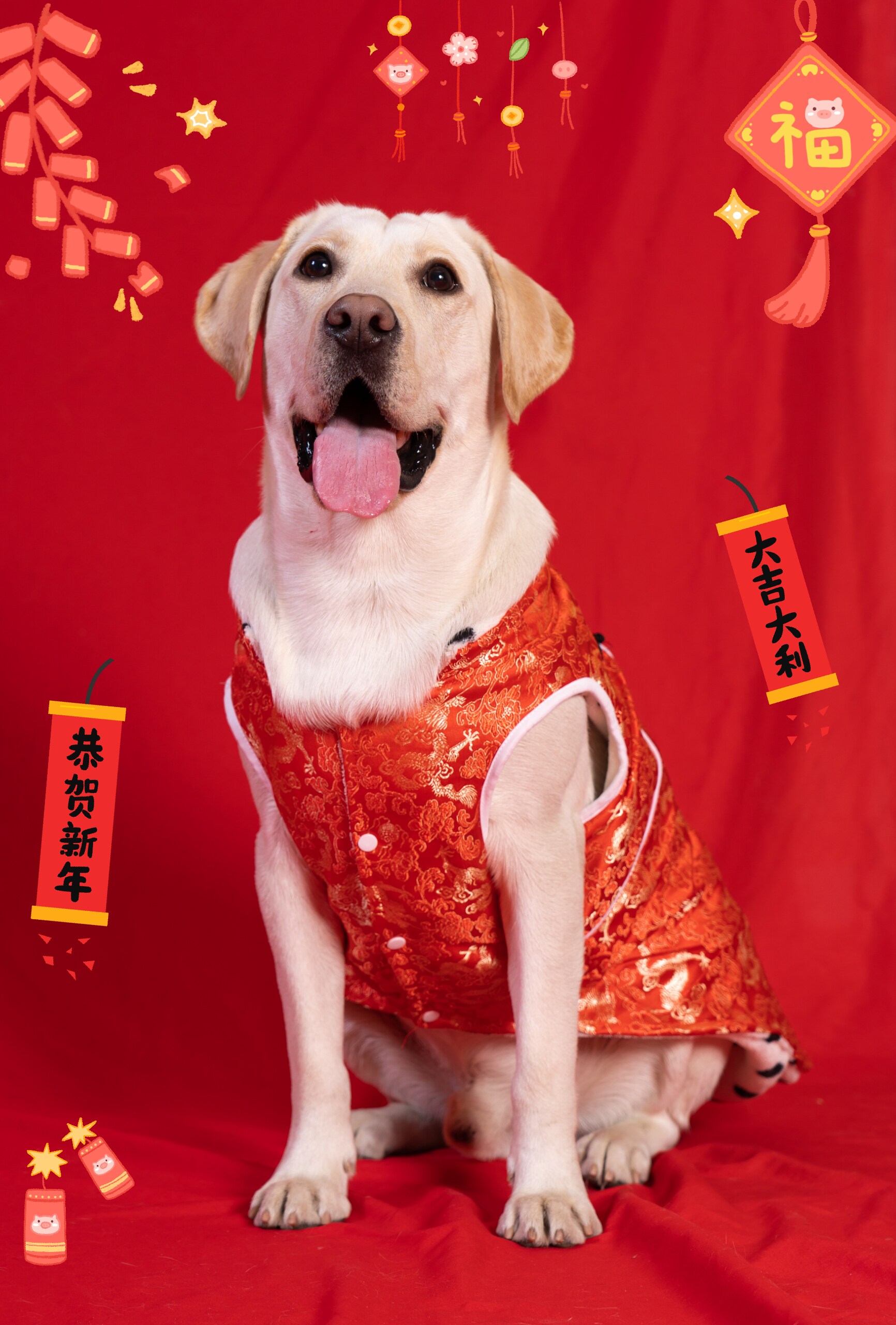 特价狗狗过年喜庆衣服大型犬