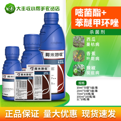 先正阿米妙收多肉金棠苯甲嘧菌葡萄炭疽病叶斑病农药杀菌剂功效与作用