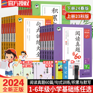 2024新版53小学基础练积累与默写一二三年级四五六年级上下册阅读真题60篇句式训练大全五三小学语文写作写词阅读理解专项训练习册