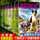 现货正版猫武士五部曲全套6册目光小径/惊雷乍现/首战风云/燃烧之星开枝散叶/群星之路 畅销猫武士外传套装奇幻小说故事书5部曲