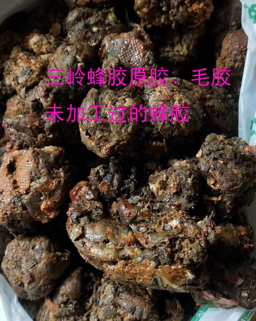 蜂农自产蜂胶原胶纯天然蜜蜂采胶未加工胶毛胶50克包邮