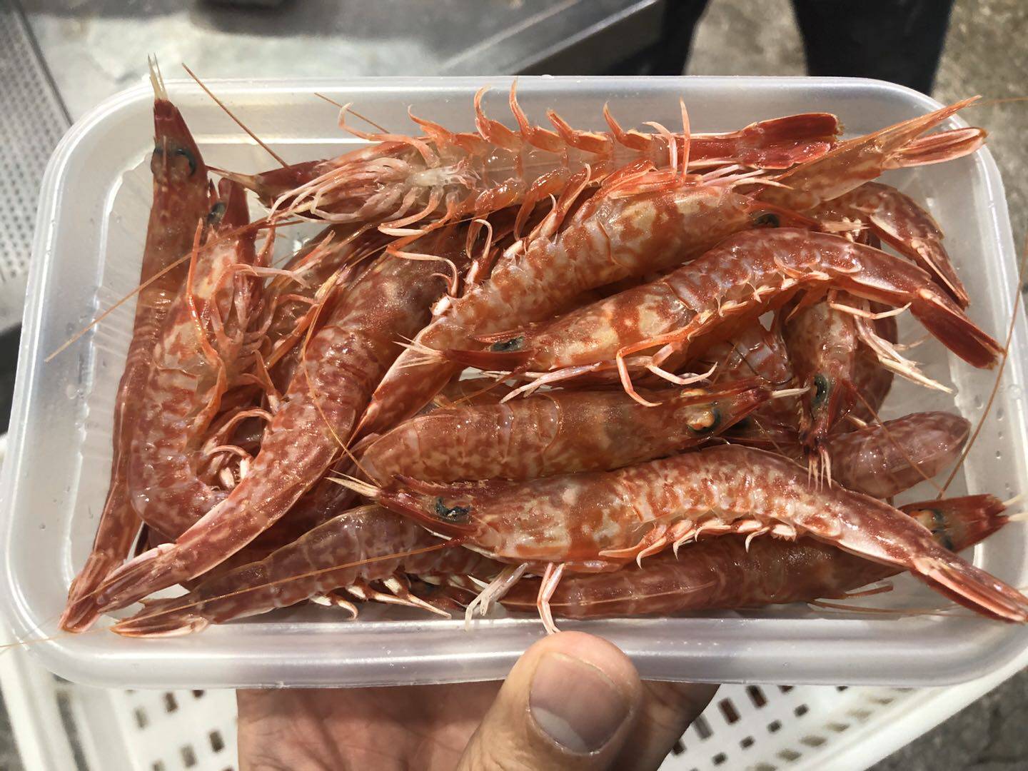 菜菜海鲜 活冻赤米虾须赤虾鲜甜美味220克/盒