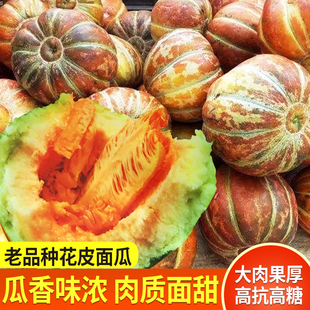 黄皮面瓜种子老品种花皮面瓜种籽露地生吃甜瓜香瓜四季播蔬菜种子