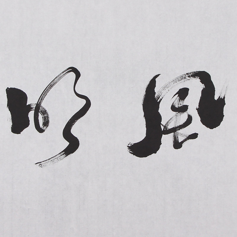 任法融《清风明月》第七届道教协会会长 带合影