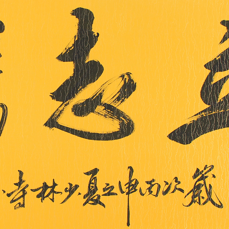 德宝法师《立志腾飞》中国实力派书法家