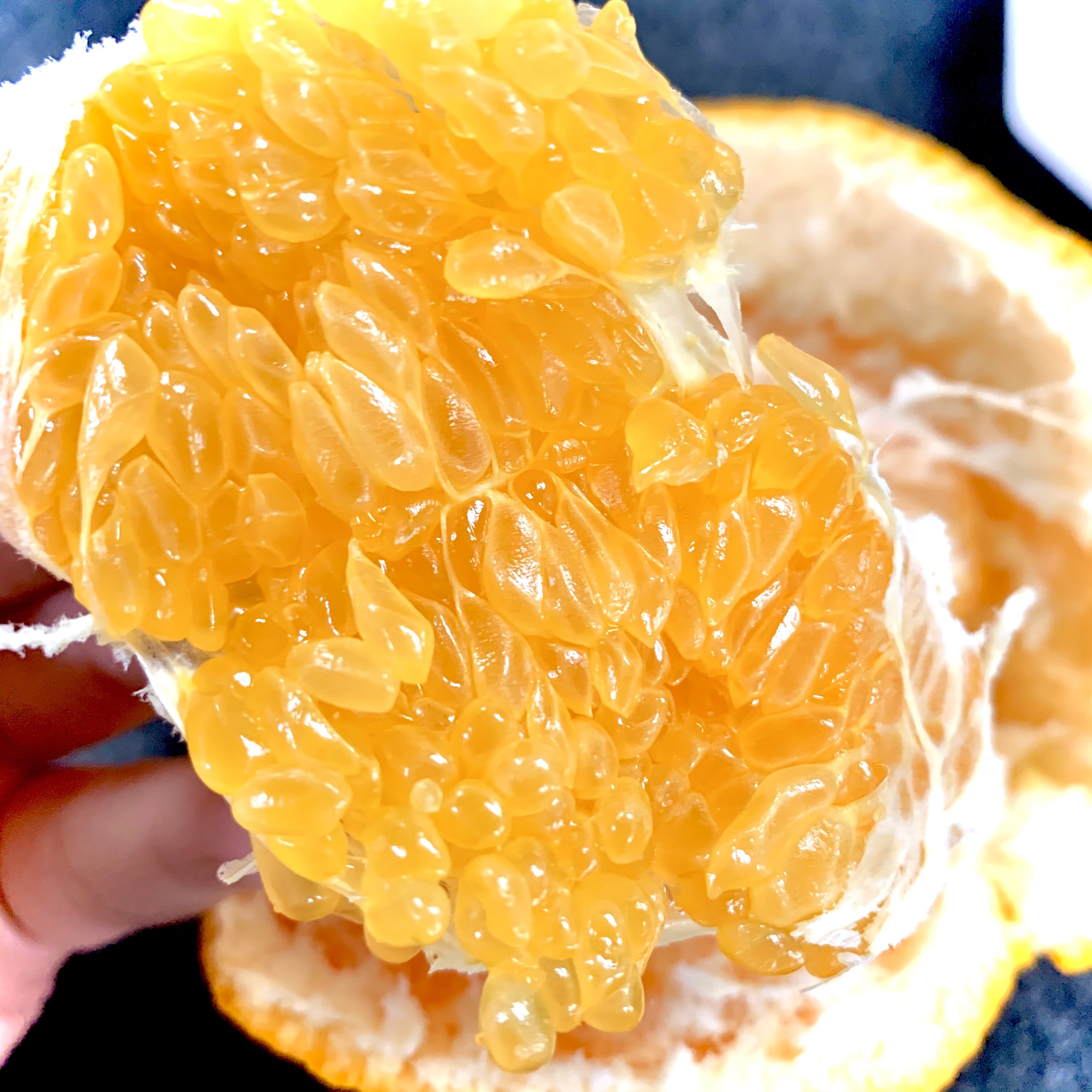 包邮四川蒲江春见耙耙柑丑橘新鲜自然熟孕妇水果特级大果送礼10斤