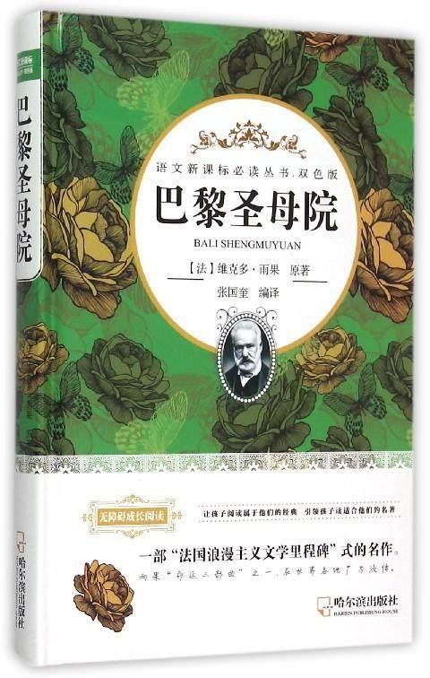 现货正版巴黎圣母院维克多雨果原中小学教辅哈尔滨出版社