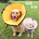 伊丽莎白圈狗狗猫咪耻辱圈大型犬防舔咬头套项圈伊利沙白绝育圈软