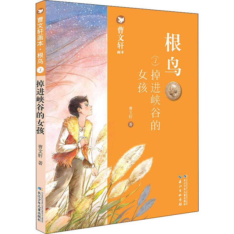 根鸟掉进峡谷女孩曹文轩儿童文学少儿湖北少年儿童出版社儿童文学