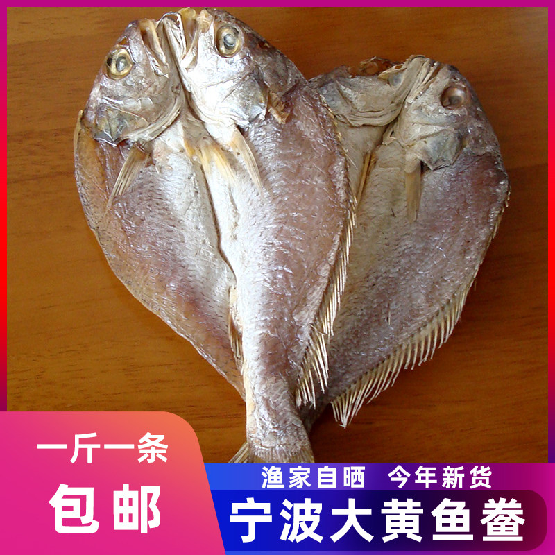 鱼干大全——其他用品