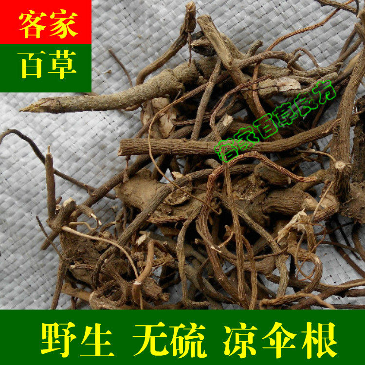 娘伞树 马胎根 矮脚浪伞 铁凉伞 小凉伞 大罗伞根部 500g 2件包邮