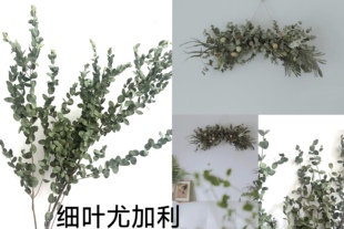 尤加利叶干花永生花diy材料包手工制作装饰摆件家居客厅卧室挂饰