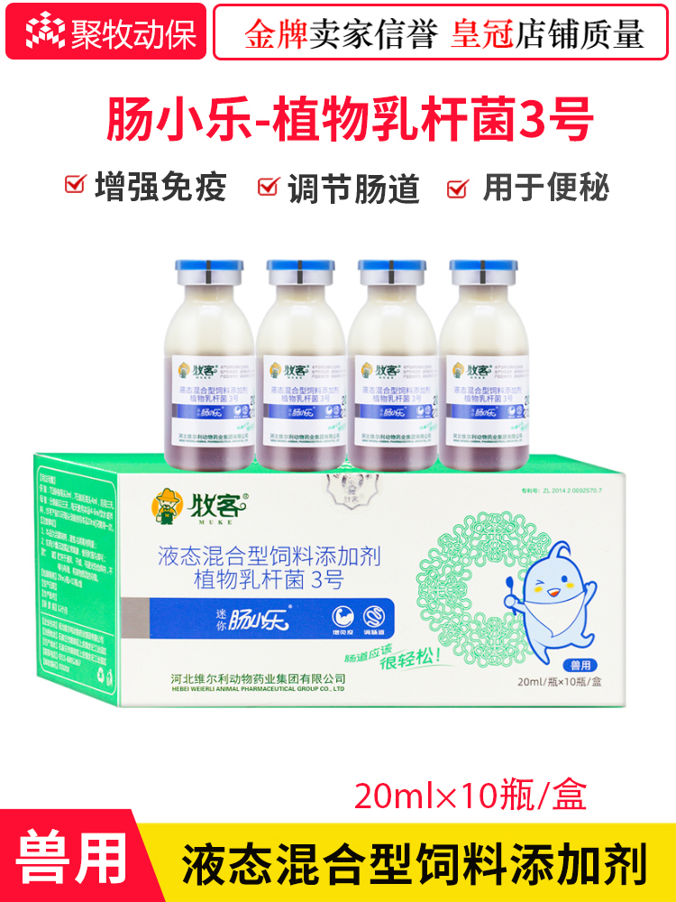 兽用肠小乐益生菌仔猪细菌性腹泻出生保健预防20ml*10支包邮