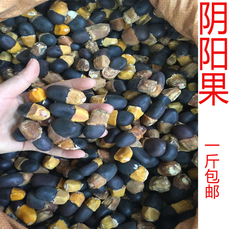 缅茄菩提子 马牙果 原籽未打孔没抛光打磨500g包邮阴阳果做首饰