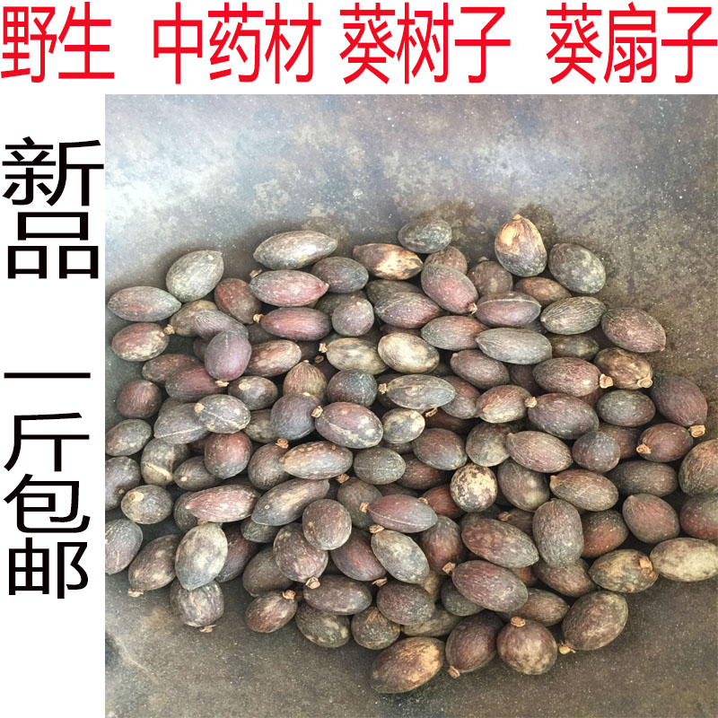 热销新品广西特产野生中药材葵树子 蒲葵籽干品葵扇子500g包邮