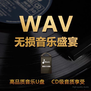 高端车载U盘无损音乐高音质2024抖音流行经典歌曲WAV真无损带歌词