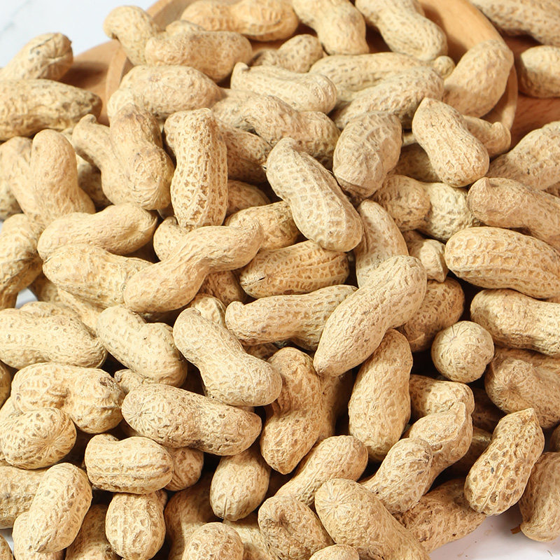 2021新炒红皮花生带壳原味现炒现发 5斤装农家铁锅原味炒熟花生