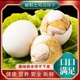 新鲜13天五香香辣活珠子熟即食鸡胚蛋钢化蛋白壳土鸡蛋麻辣毛蛋