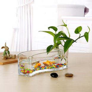 包邮 透明玻璃花瓶水培长方形水养植物花盆创意鱼缸造景花瓶容器