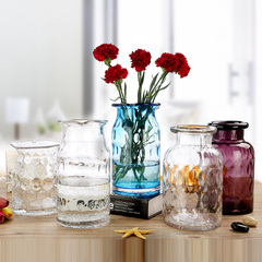 欧式玻璃花瓶彩色干花花瓶家居简约风饰品摆件客厅创意透明水培器